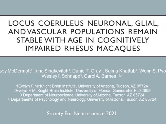 McDermott SfN2021 front page